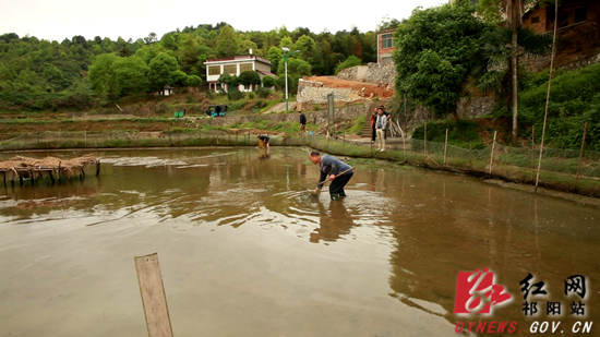 祁阳观音滩镇:严要求实举措 让"良田"回归"粮田"
