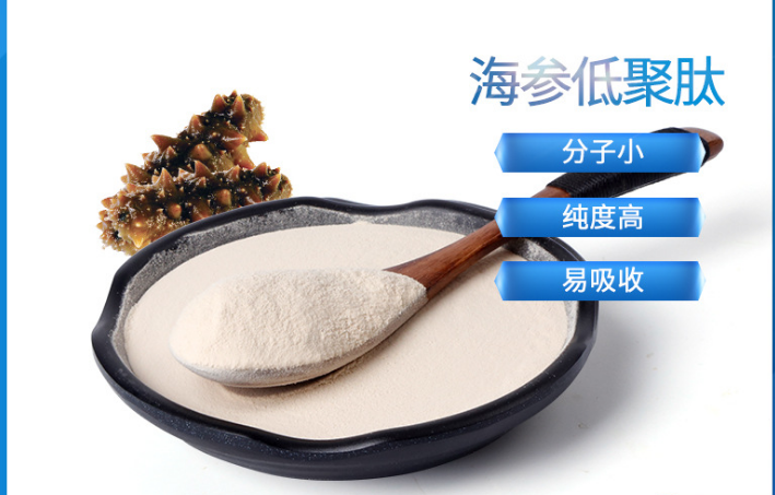 海参肽的功效与作用