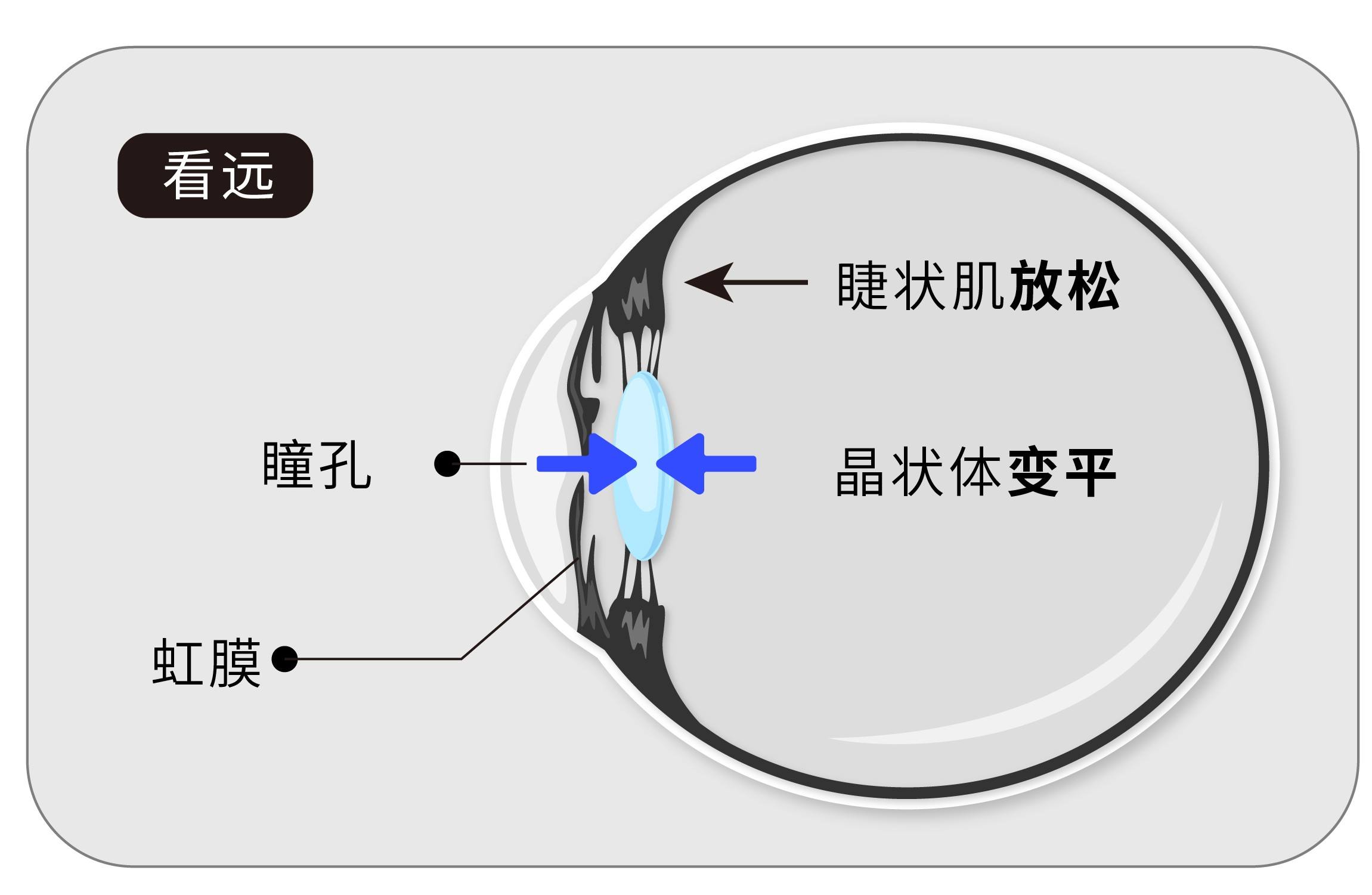 裸眼3d近视视力训练的原理