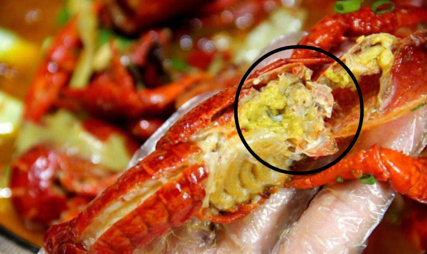 小龙虾的头部是"屎"还是"黄"?别不懂装懂,搞清楚再吃