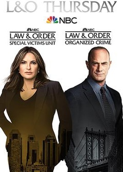 法律与秩序：组织犯罪第二季