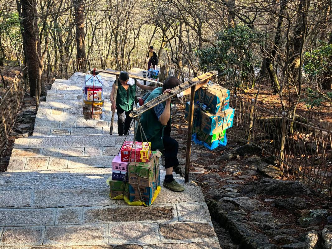 泰山挑山工:折尺路线与重负承担之道
