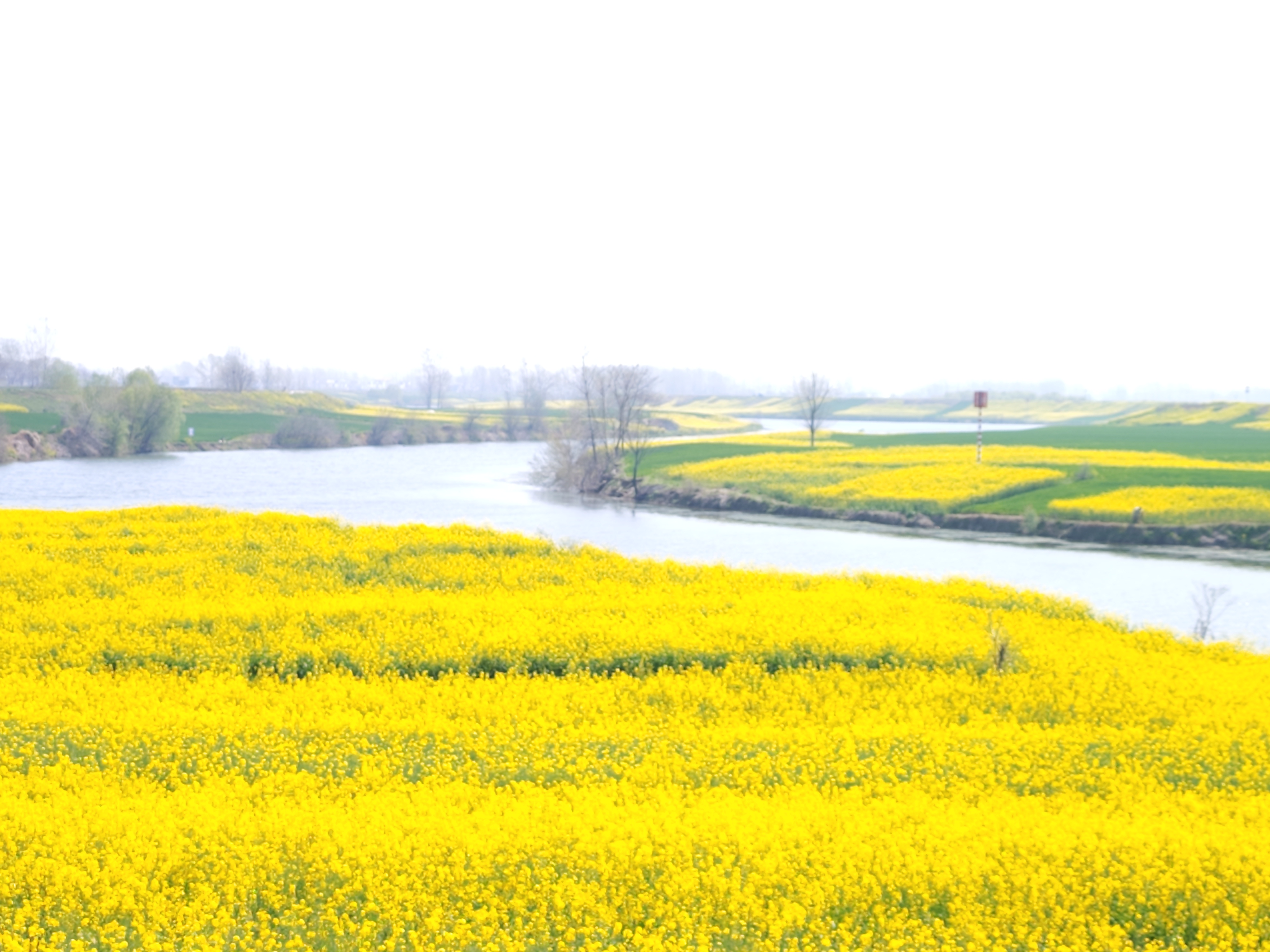 界首市舒庄镇:乡村随手拍 处处是美景