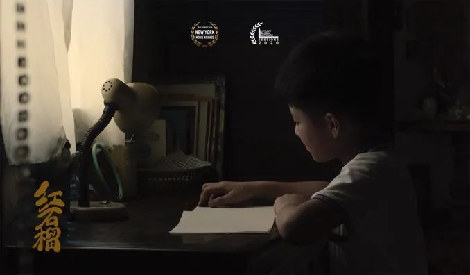 国家奖学金获得者|杜雨轩:乘着光影去旅行