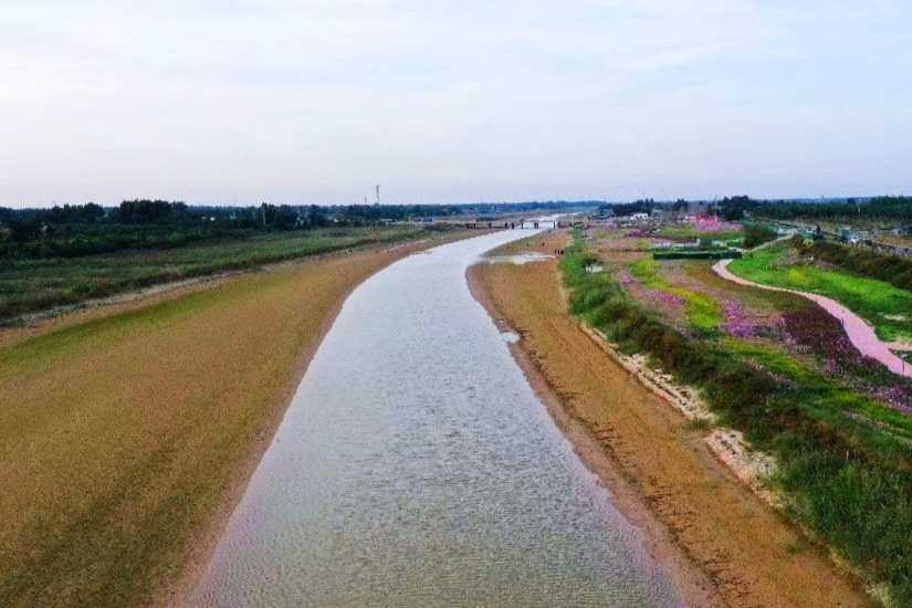 青未了|马颊河,最浓的乡愁