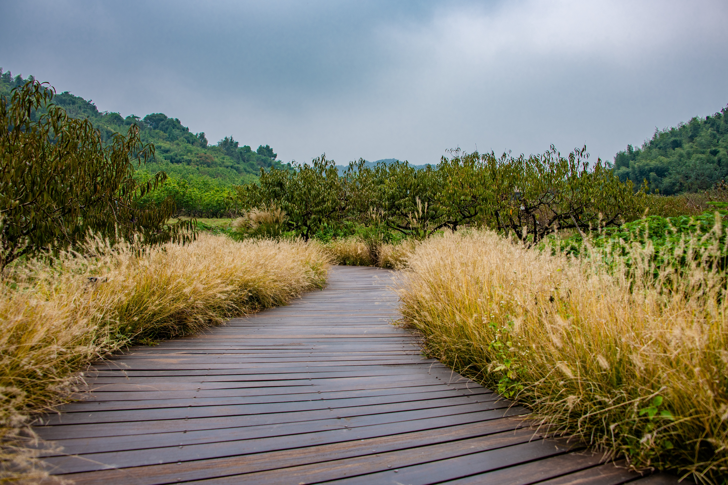 良渚瑶山遗址公园