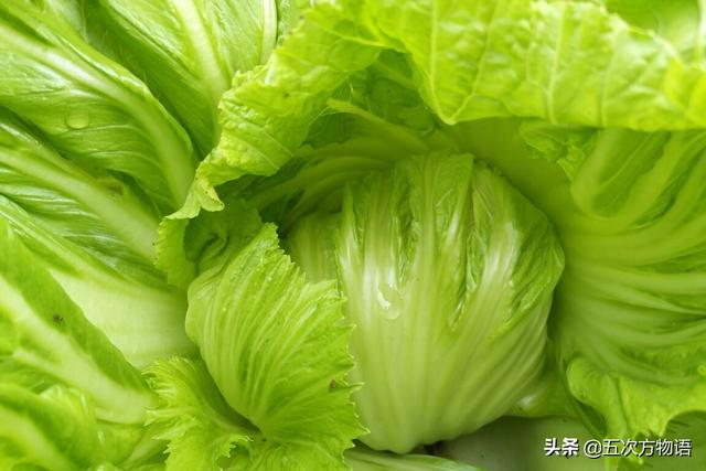 3 包心芥菜