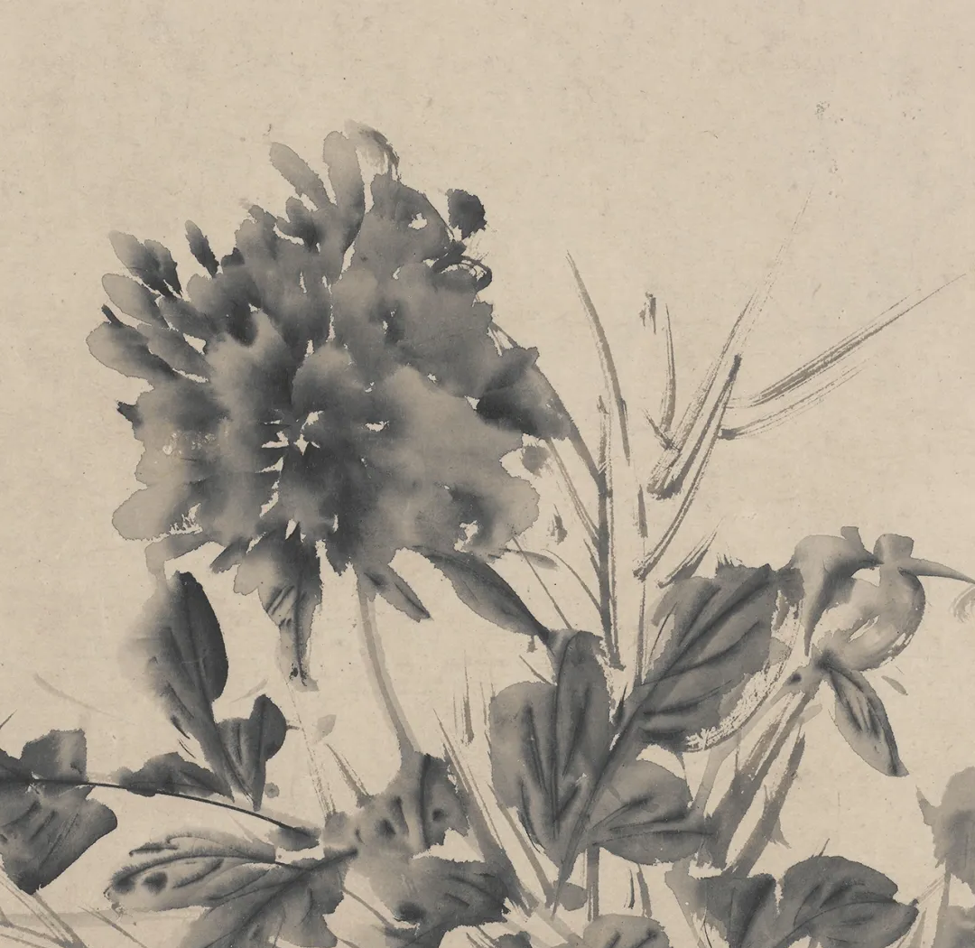 欣赏徐渭的十二墨花图,感受其艺术魅力