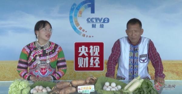 中央财经是哪个频道(央视二套直播在线观看)
