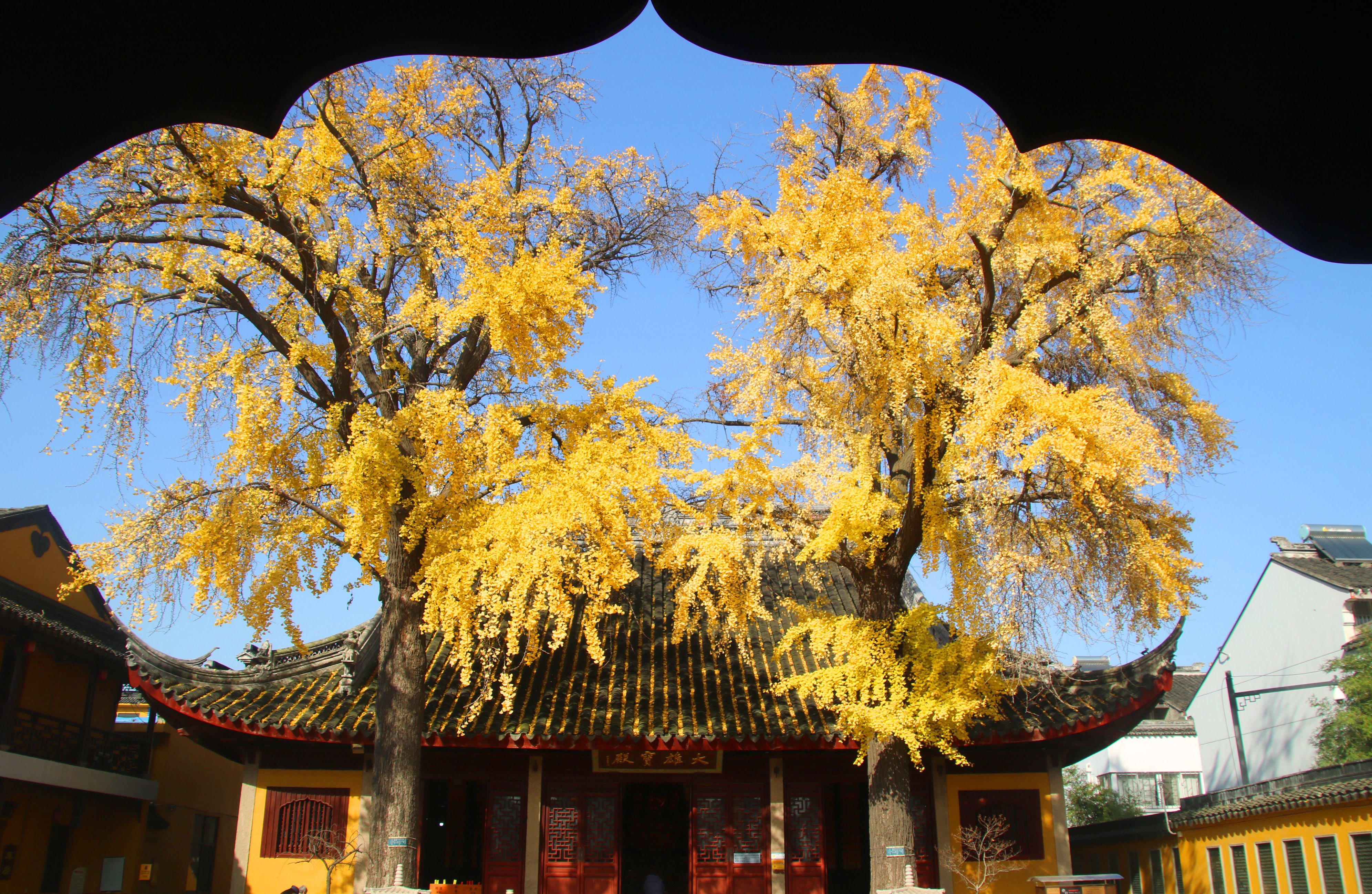 苏州定慧寺简介图片