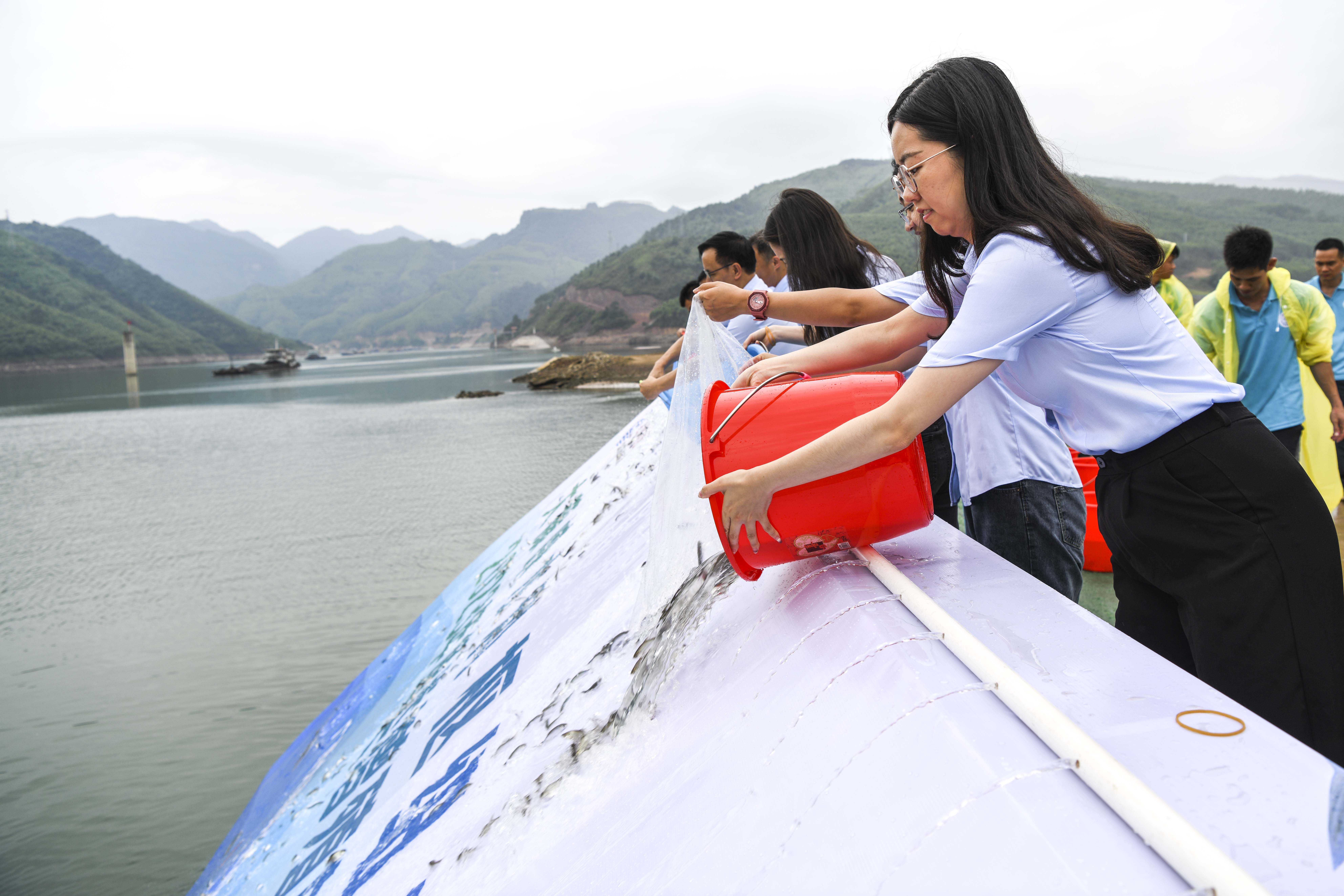 (环境)广西大藤峡水利枢纽工程举行夏季鱼苗放流活动