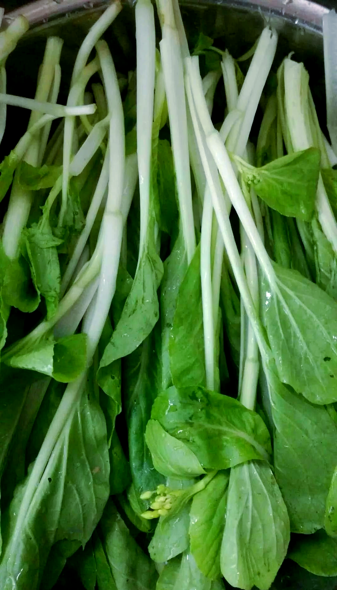 白菜薹,作为某些特定薹用小白菜品种的代表,其特色在于中央部分长出的