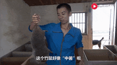 一会儿鼓励养,一会儿全埋掉,养殖户真的被坑惨了