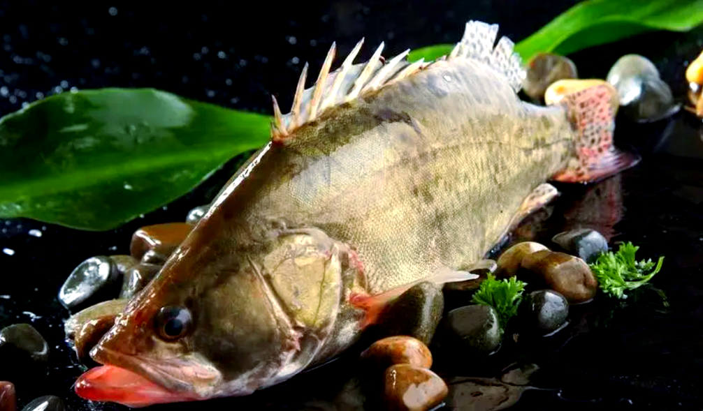 东塘腌鲜桂鱼:一年销售众多斤,美味传承至合肥!