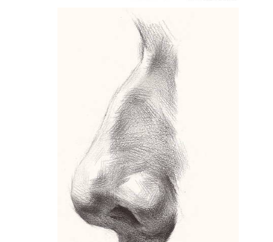素描鼻子的画法,多角度分析方法全在这里了!