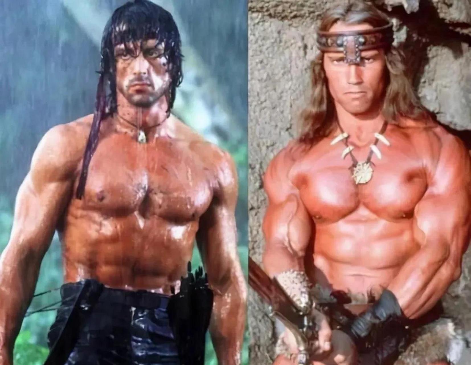 2.演技—施瓦辛格略胜,史泰龙表情单一,角色雷同.