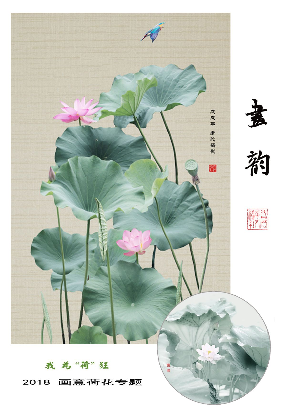 老沁:画意摄影 水墨荷花
