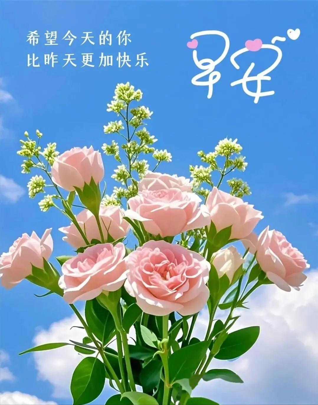 15句三观极正的励志正能量句子,句句干净阳光,越读越优秀