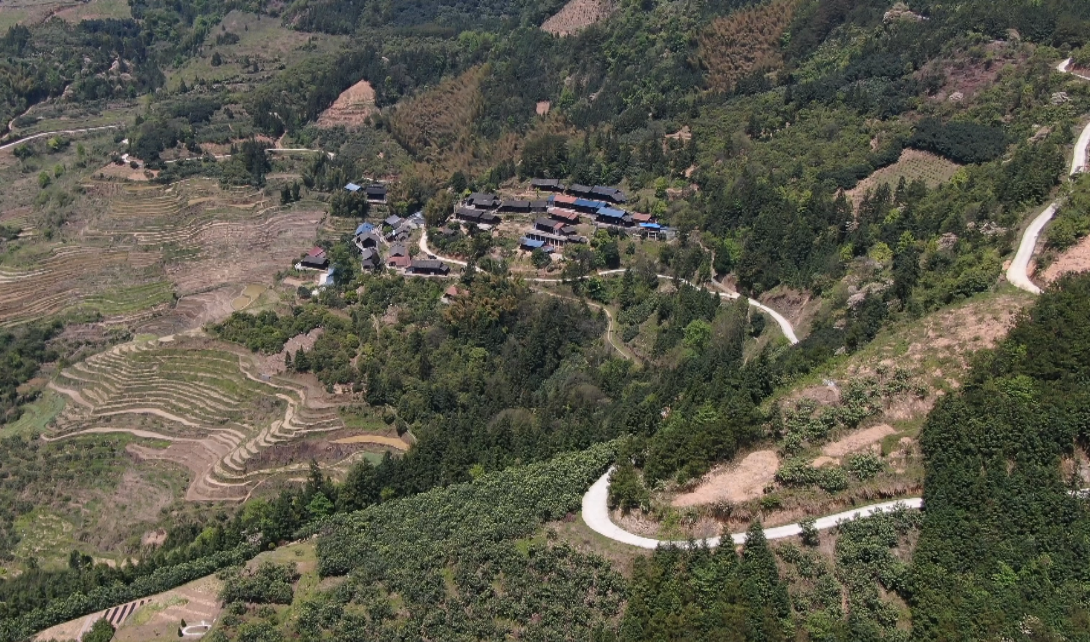 "小金果"铺就"黄金路"——中方县花桥镇芭蕉溪村着力发展枇杷产业