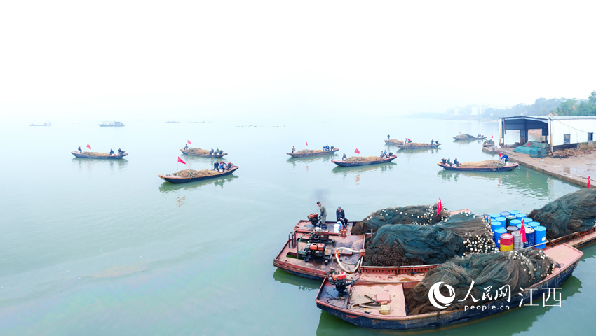 高清图:渔业丰收 军山湖开湖啦