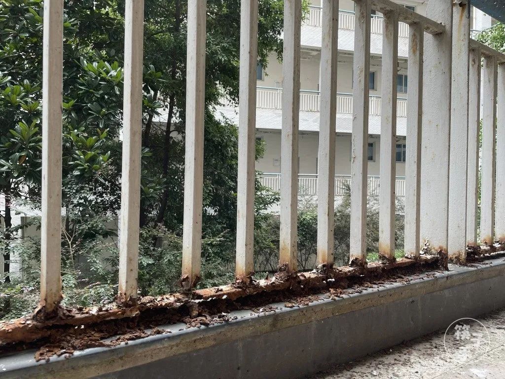 你还记得重庆有个渝州大学吗?