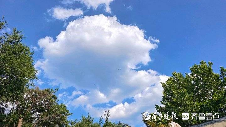 7月看巧云,济南天空朵朵棉花状白云,美爆