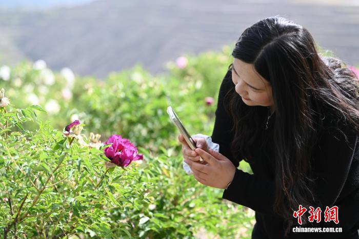 甘肃榆中：“花样经济”让昔日荒山变身兰州“后花园” - 图2