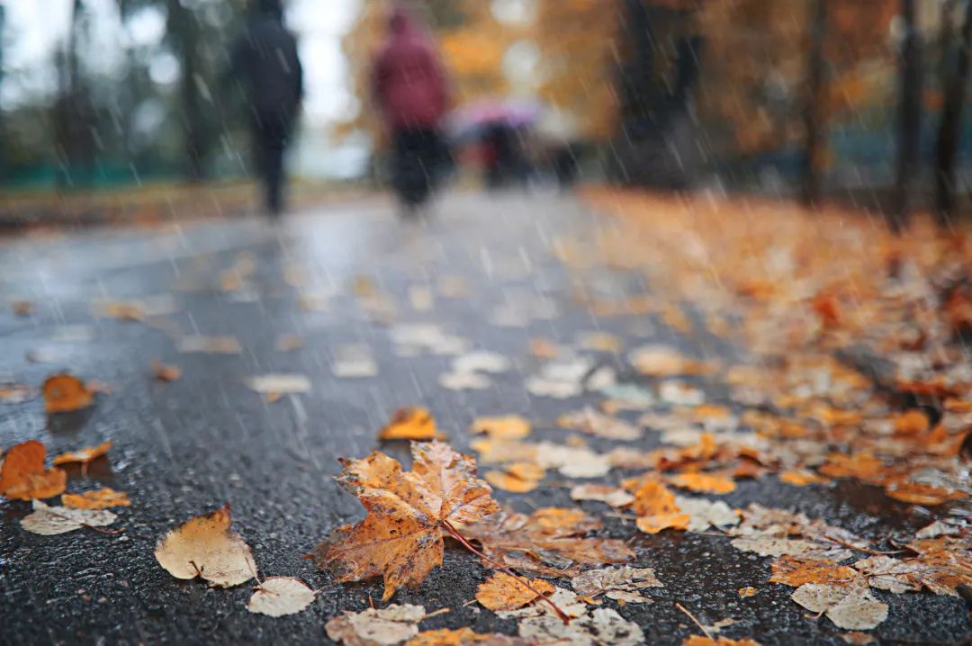 阴天下雨壁纸图片