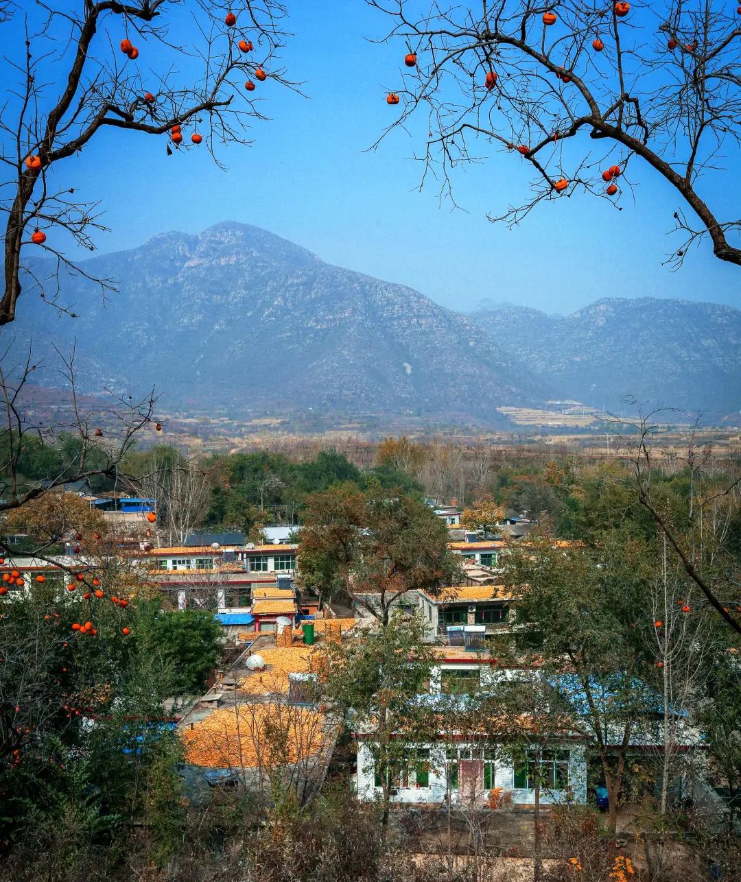 保定易县这个小山村到处都是浓浓的家乡味儿