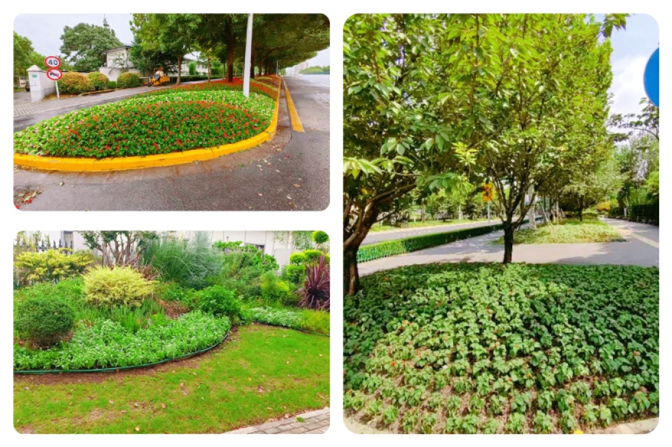 打造生态宜居环境,ta们在行动