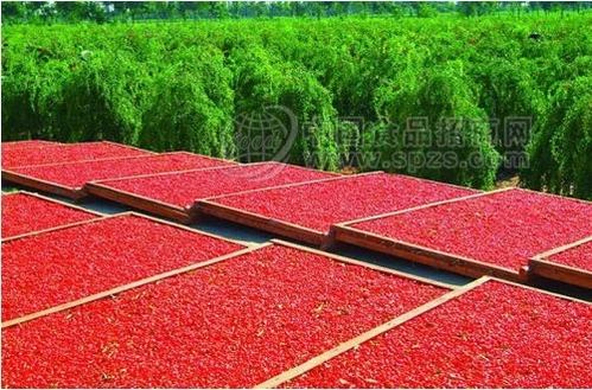 名词解释 【核骨】    又名"核骨",即拇趾的第一趾骨与跖骨的关节后