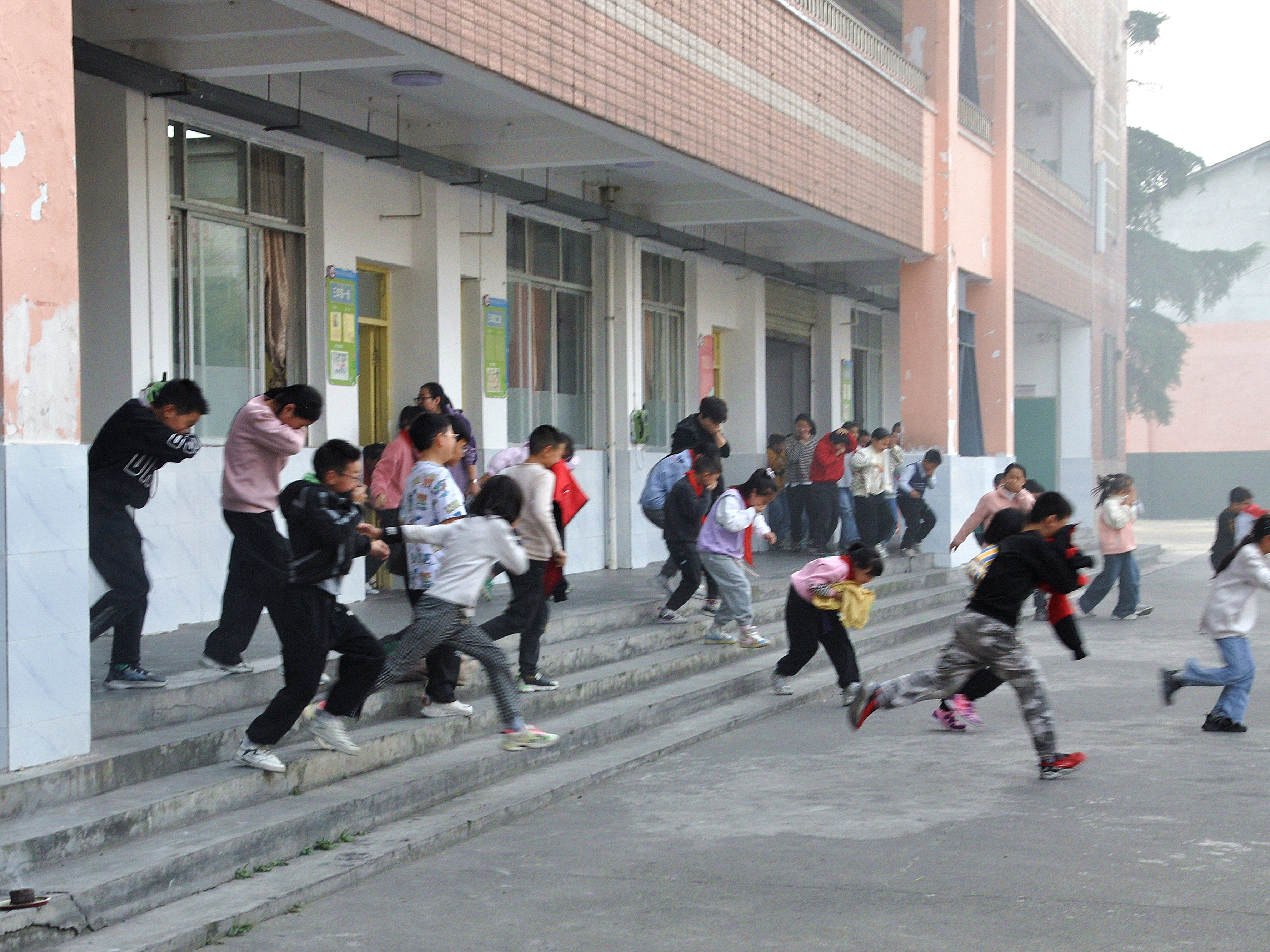 桑枣小学图片