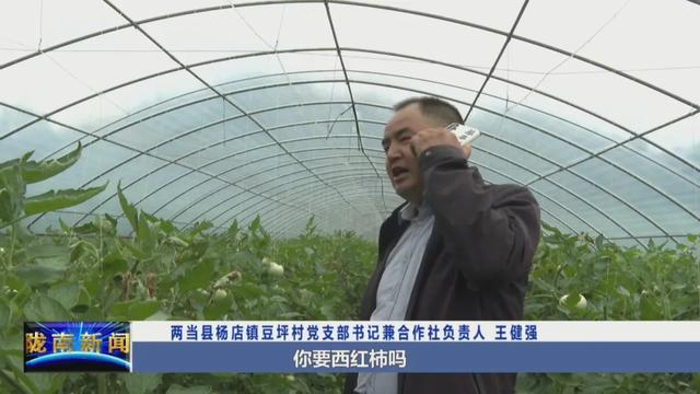 「献礼建党百年」两当:厚植红色文化 走出农旅融合发展新路子