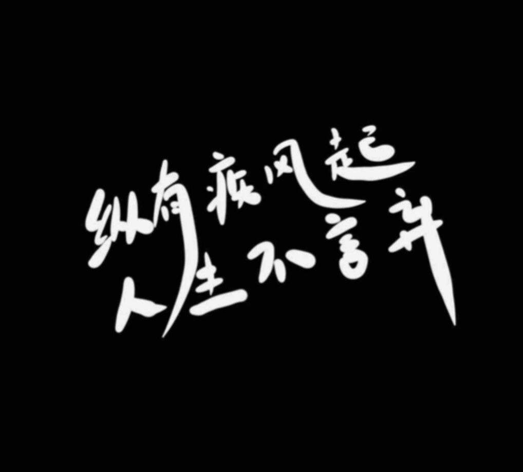纵有疾风起 人生不言弃