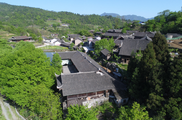 谢家垭乡高坪村的十二个"黄金符号"