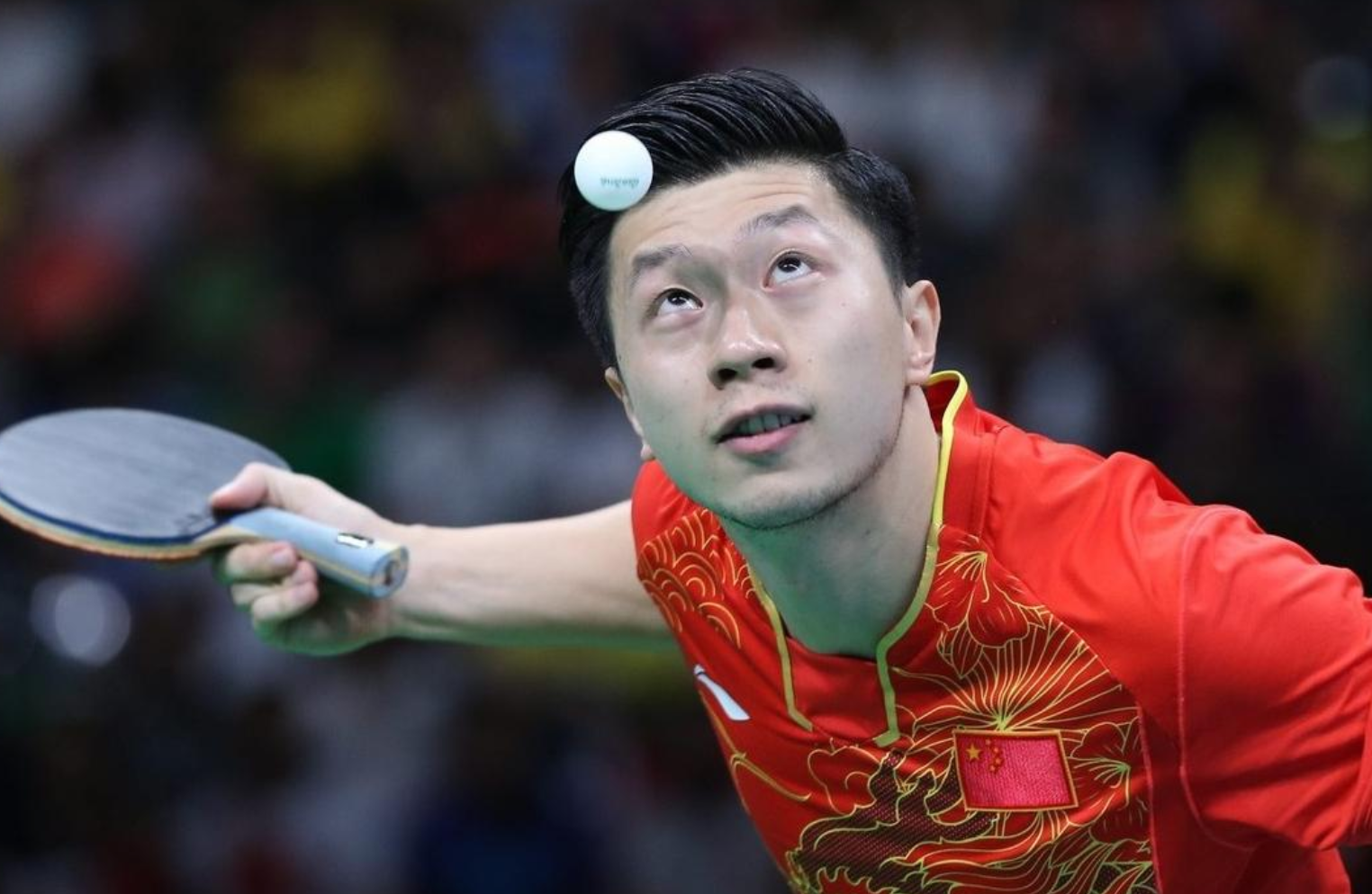 马龙脱下运动服,变身成为"高学历校草",答辩时的照片太帅了