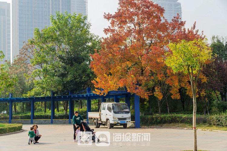 枣庄凤鸣湖公园图片