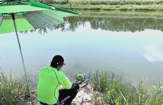 春季钓鱼指南：如何选择最佳钓位提高鱼获