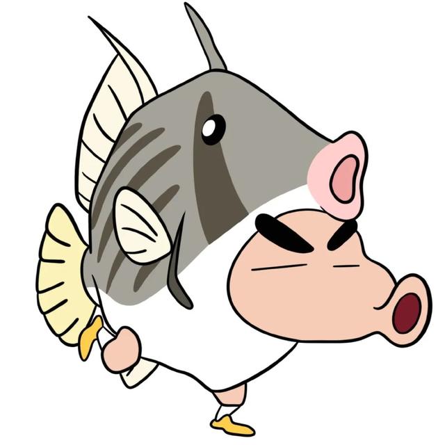 头像丨一些爆款头像