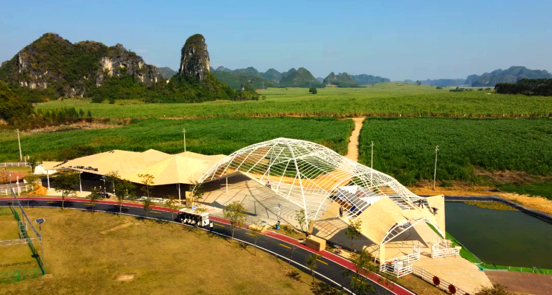 扶绥新景:探索多元玩法的生态观光牧场