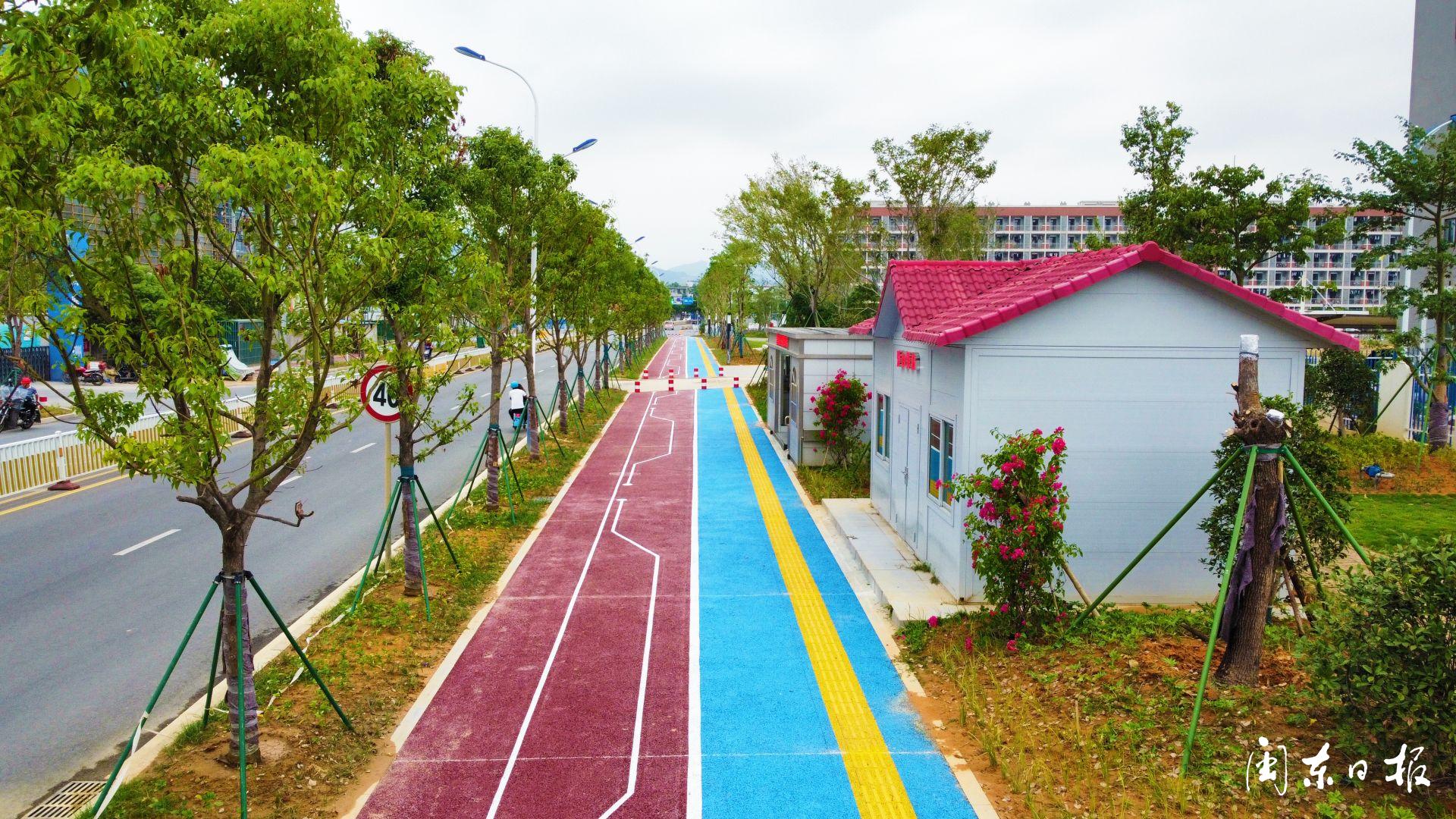 改造人行道,打造景观绿带……宁德北部新区工业路华丽变身