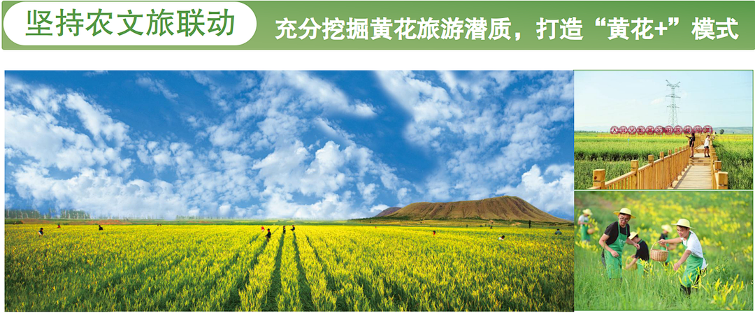 "大同黄花"再获两项殊荣