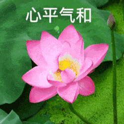 趁“热”收下!这份夏季安全行车小常识-有驾 趁“热”收下!这份夏季安全行车小常识-有驾