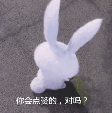 此生必驾:自驾中国边境大环线之G228,海风吹拂浪漫的最美海岸线-有驾 此生必驾:自驾中国边境大环线之G228,海风吹拂浪漫的最美海岸线-有驾
