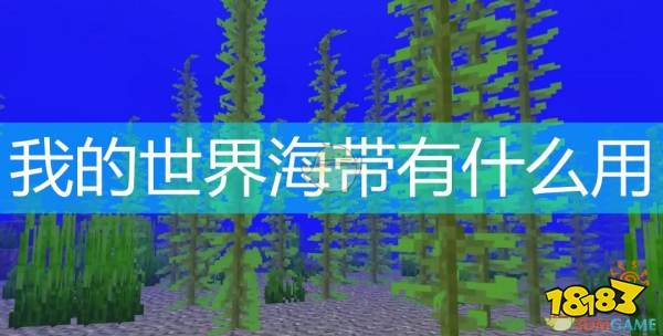 我的世界海带有啥用 海带的使用途径一览