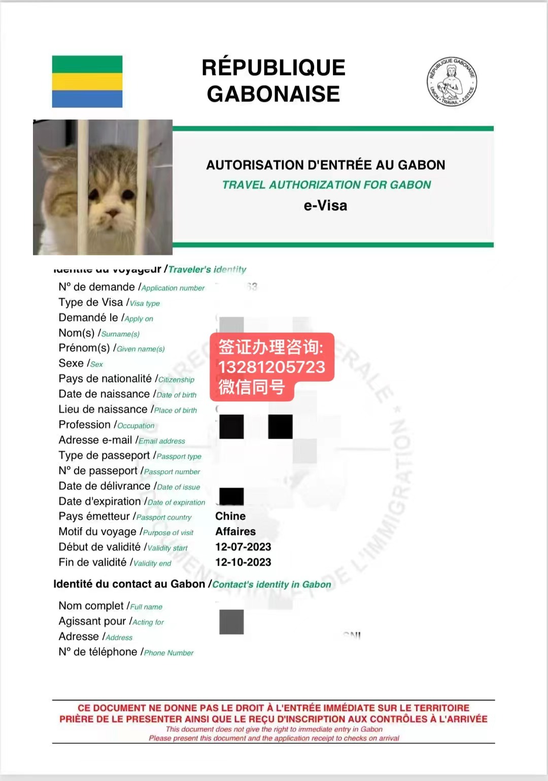 加蓬签证办理攻略分享
