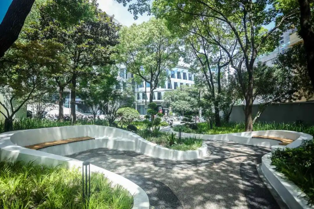 这些街头绿地"变身"!你看到了吗?