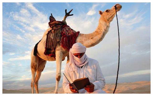 摩尔人在西班牙的统治,文化交流与成就