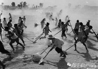 翟传海:打场扬场收麦子