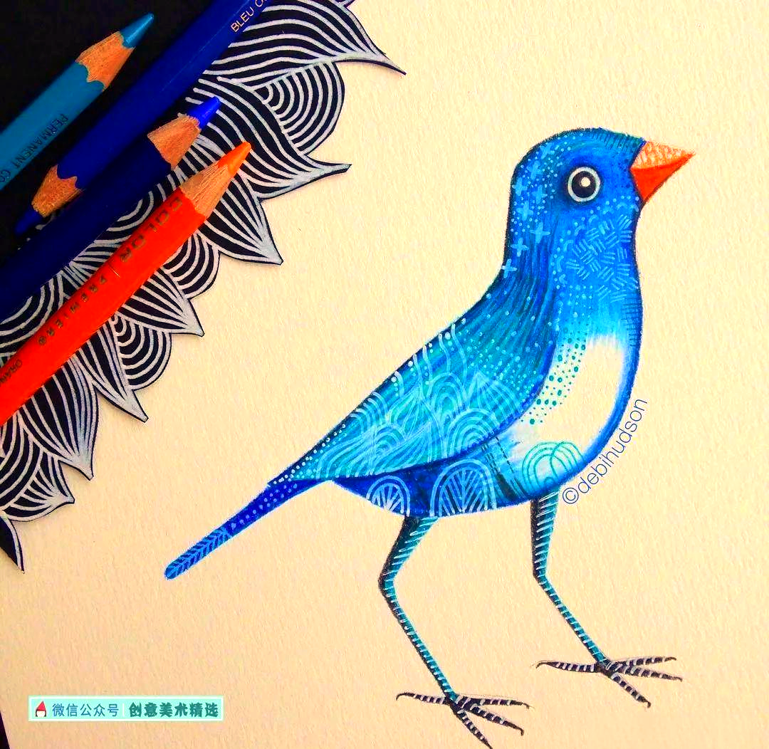 飞鸟集——众多独特的鸟类主题创意插画